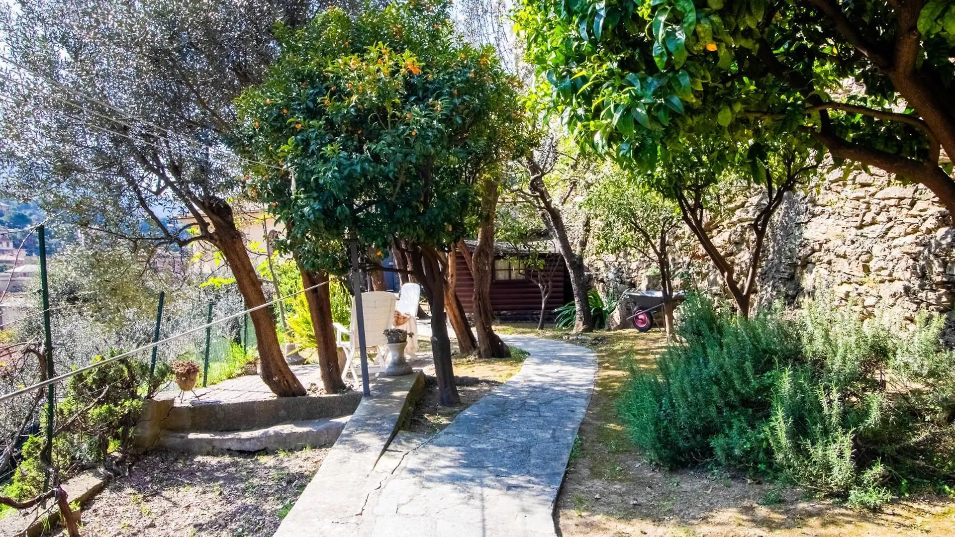 Apartment Green Home Recco