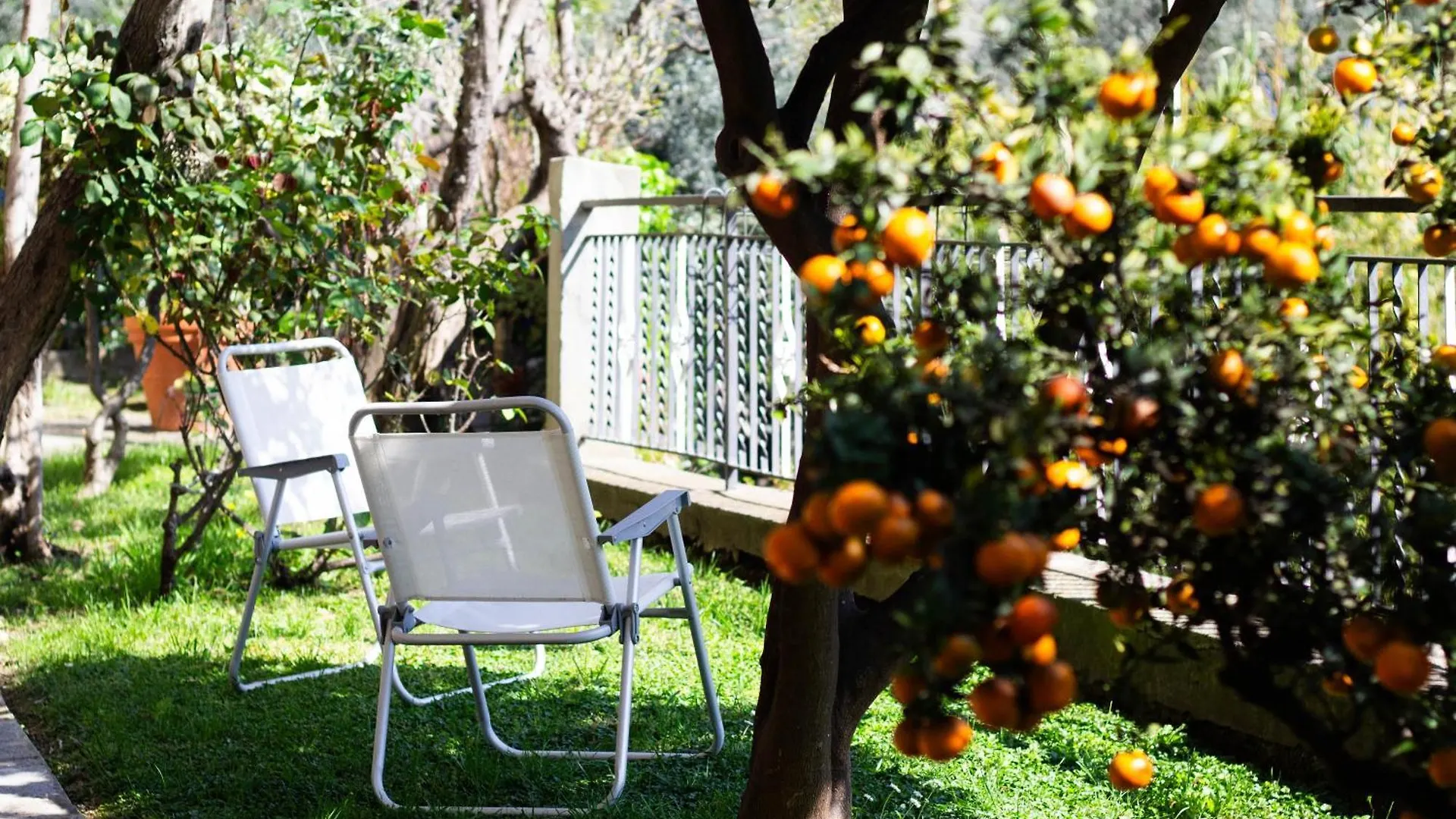 Apartment Green Home Recco Italy
